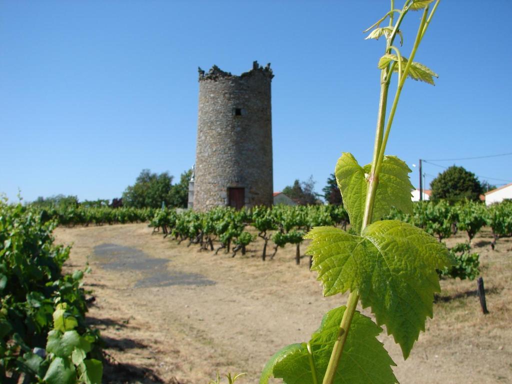 Relais De La Riniere Bed & Breakfast Le Landreau Luaran gambar